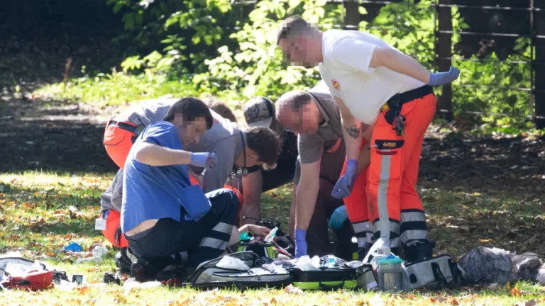 17 éves koszovói diák késelt meg egy tanárt Németországban