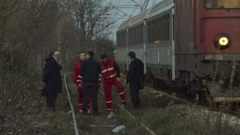 Bivalyt gázolt el egy személyvonat az Újvidék-Zombor vasútvonalon