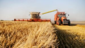 Hétfőtől igényelhető a hektáronkénti állami támogatás – Fontos az eAgrar-fiók érvényessége