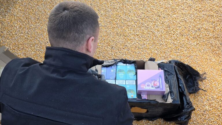 Márkás tornacipőket és elektronikus cigarettákat rejtettek kukoricaszállítmányba