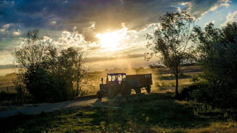 Fagyos hajnal, szeles nappal: 20 fokig melegedhet az idő