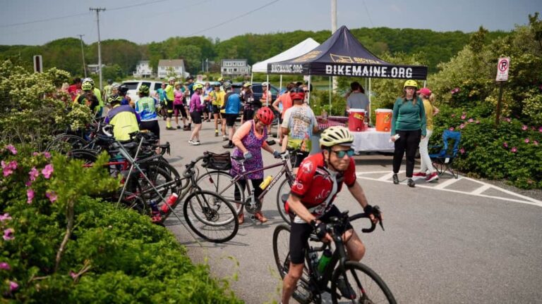 Időszakos kerékpáros határátkelő nyílik Vajdaság és Románia között