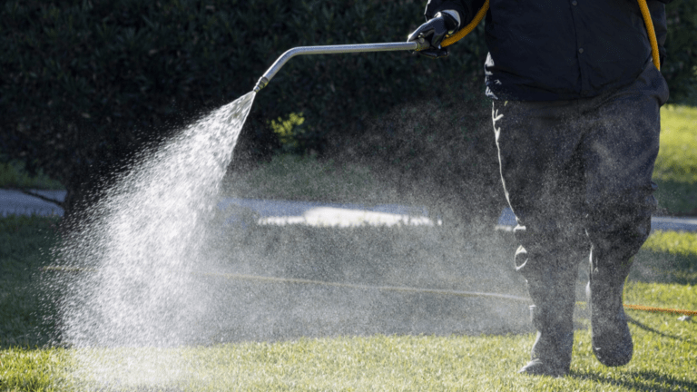 Megkezdődik a kullancsok elleni védekezés Vajdaságban