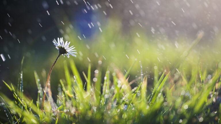 Tavaszias idő várható húsvét hétvégéjén Vajdaságban