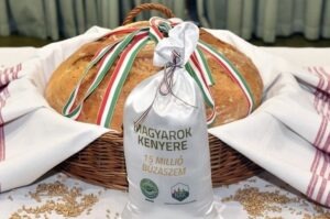 Elindult a Magyarok Kenyere – 15 millió búzaszem című program idei búzagyűjtése