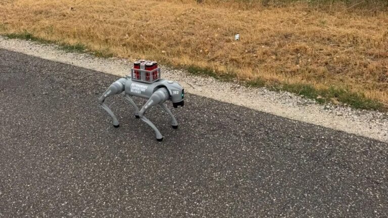 VIDEÓ: Kóbor robotkutya okozott fennakadást Magyarországon
