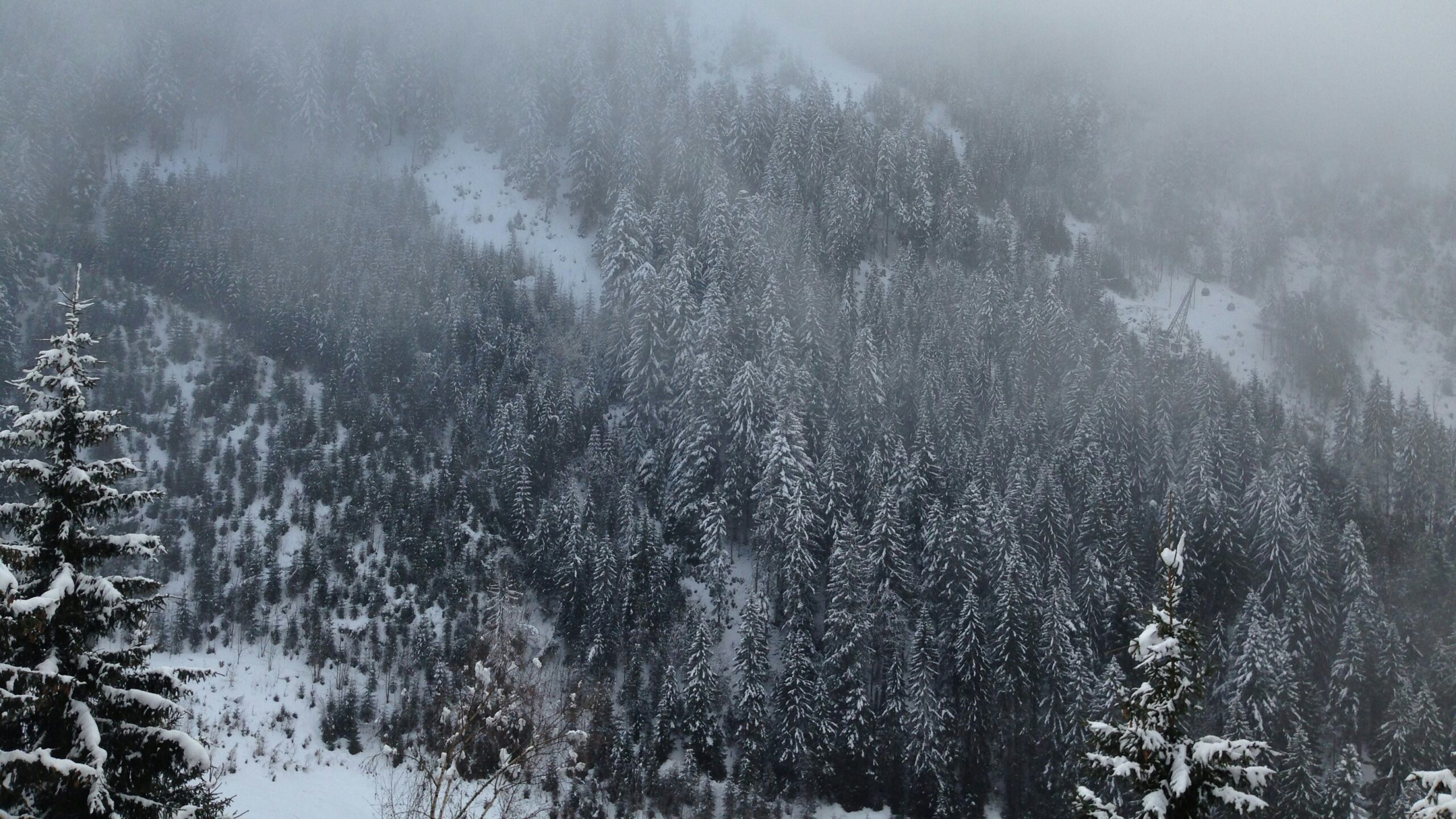 hó a hegyekben forrás Unsplash